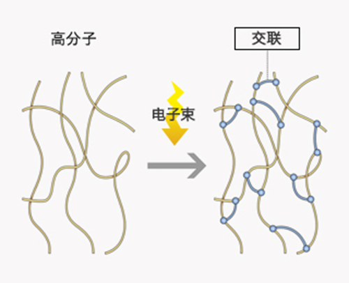 PE發泡材SOFTLON照射工序